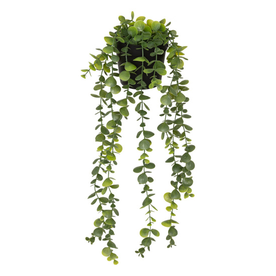 48948489_1_1322755249