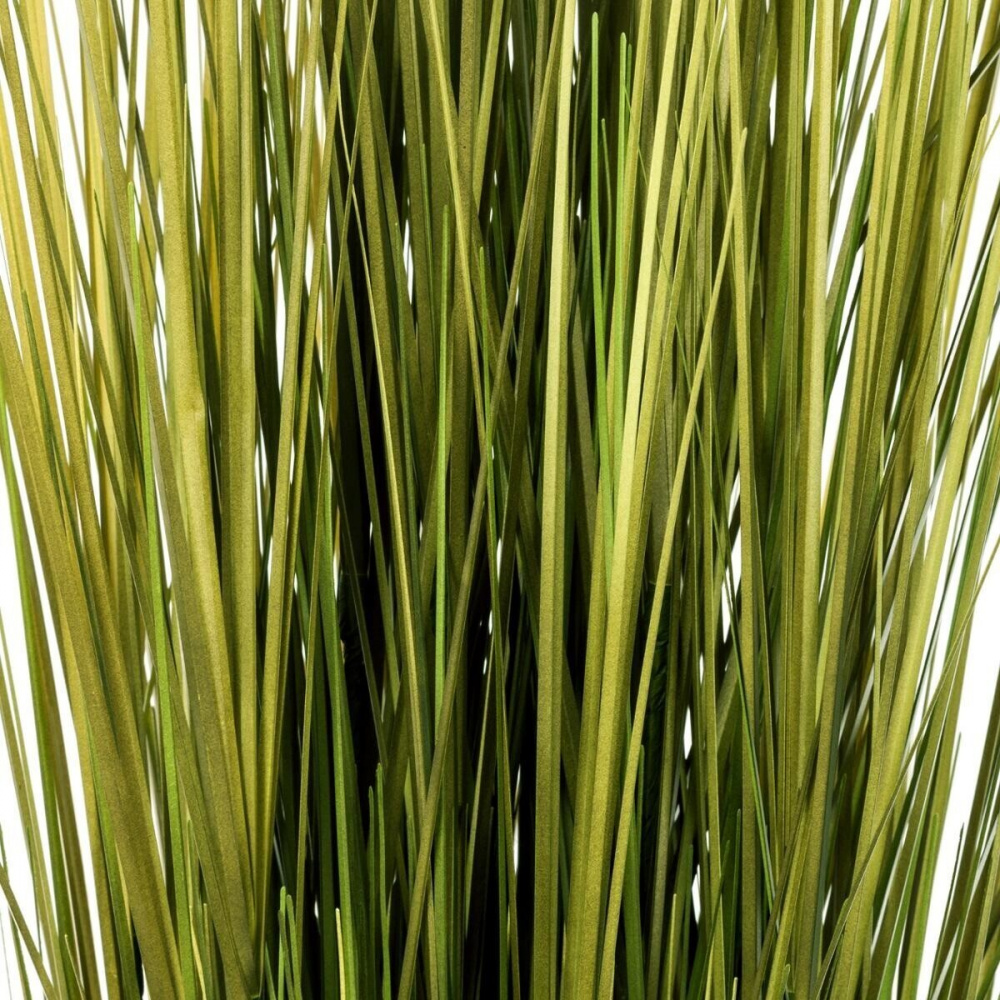 01w006790b