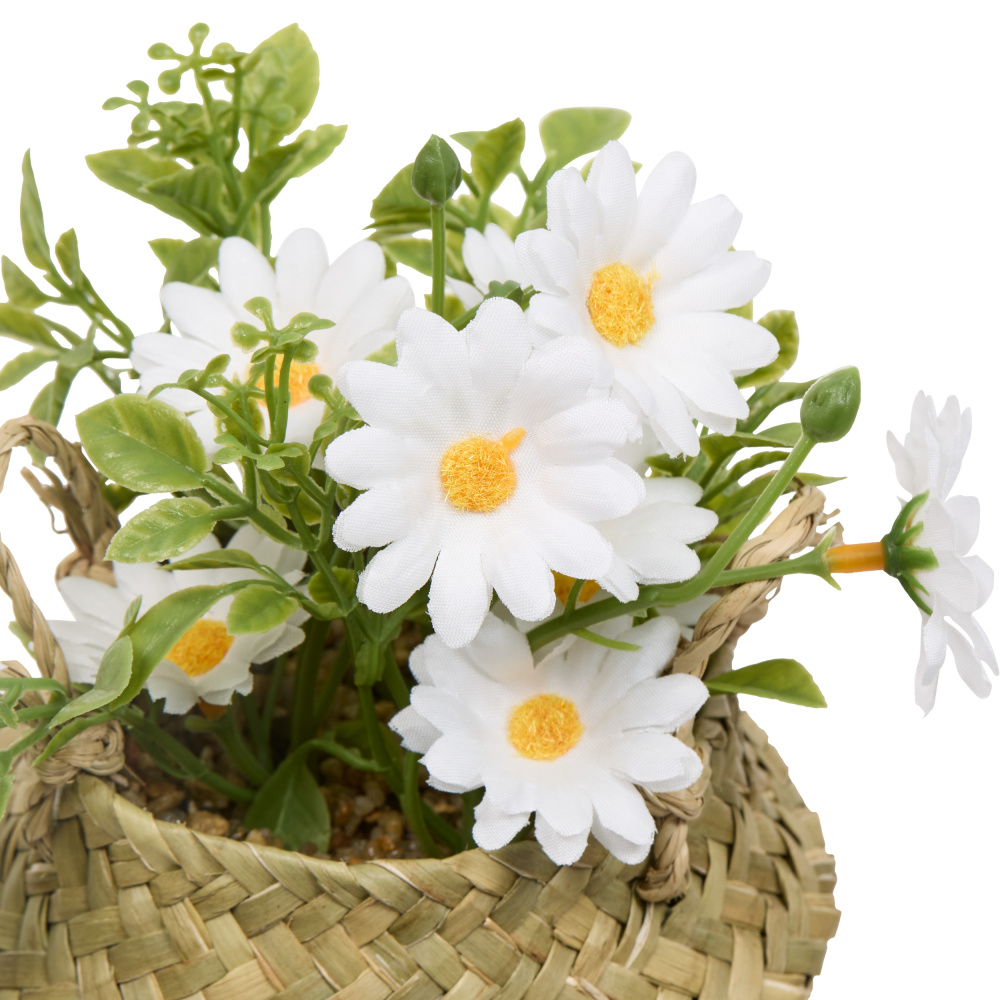 214053_d1_1464527279