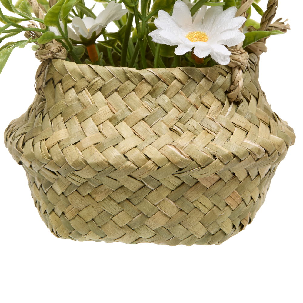 214053_d4_1704117643