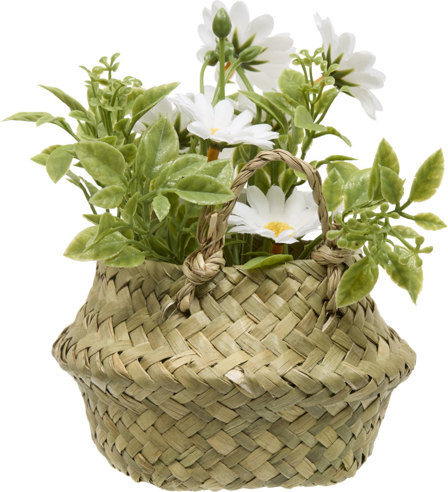 214053_deb1_l_615442971