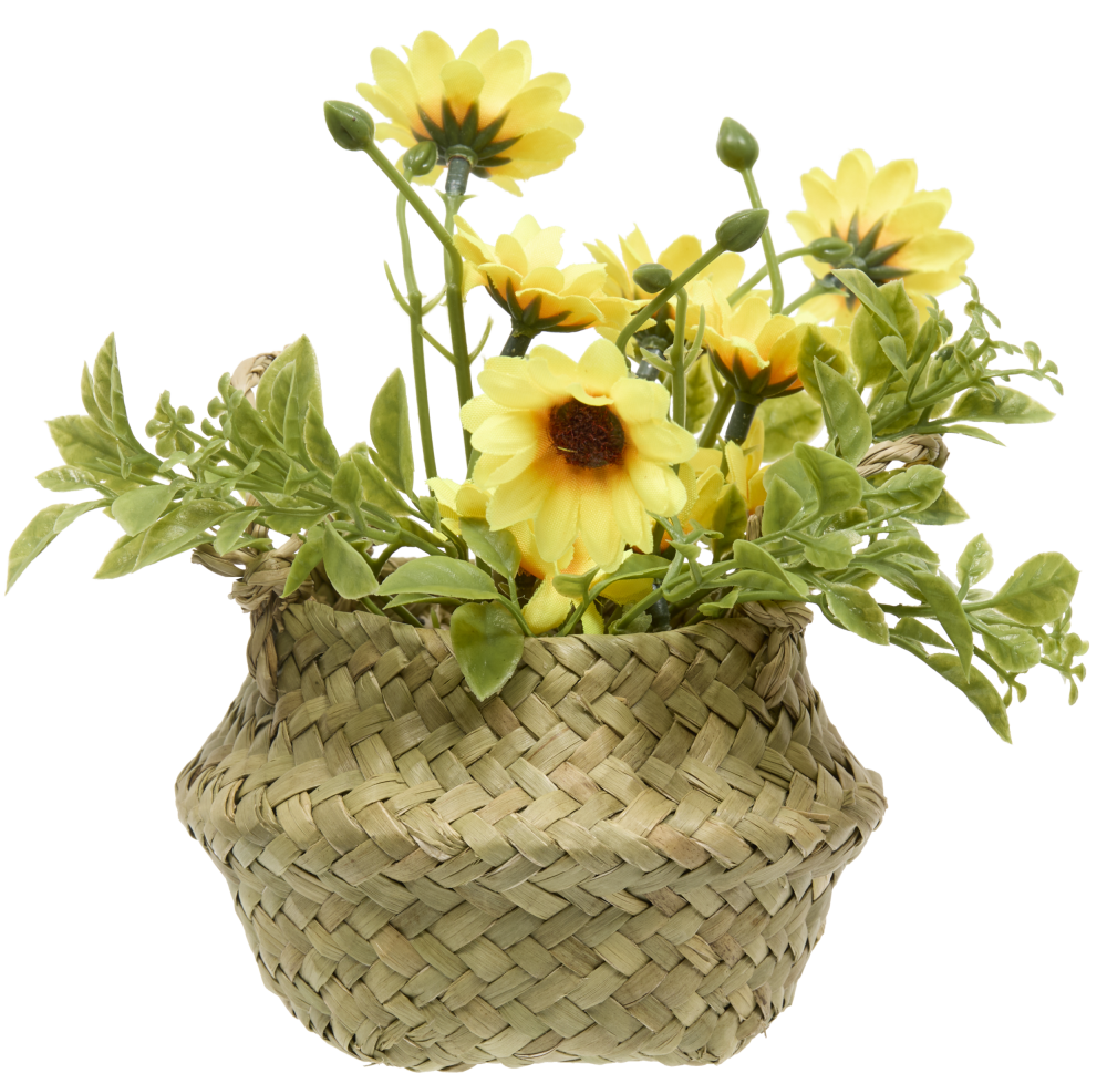 214053_deb2_f_518849115