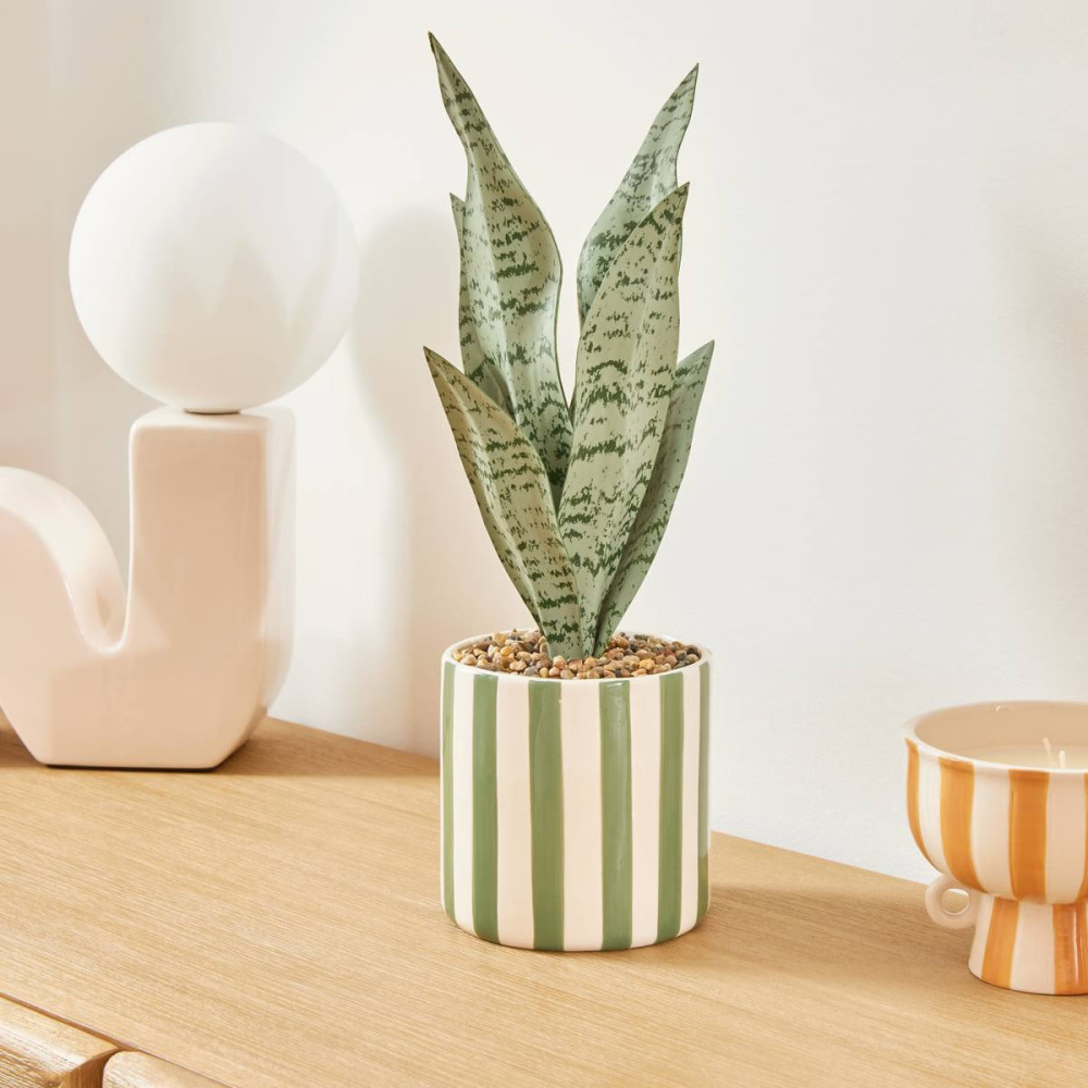 345354345354_2_594866485