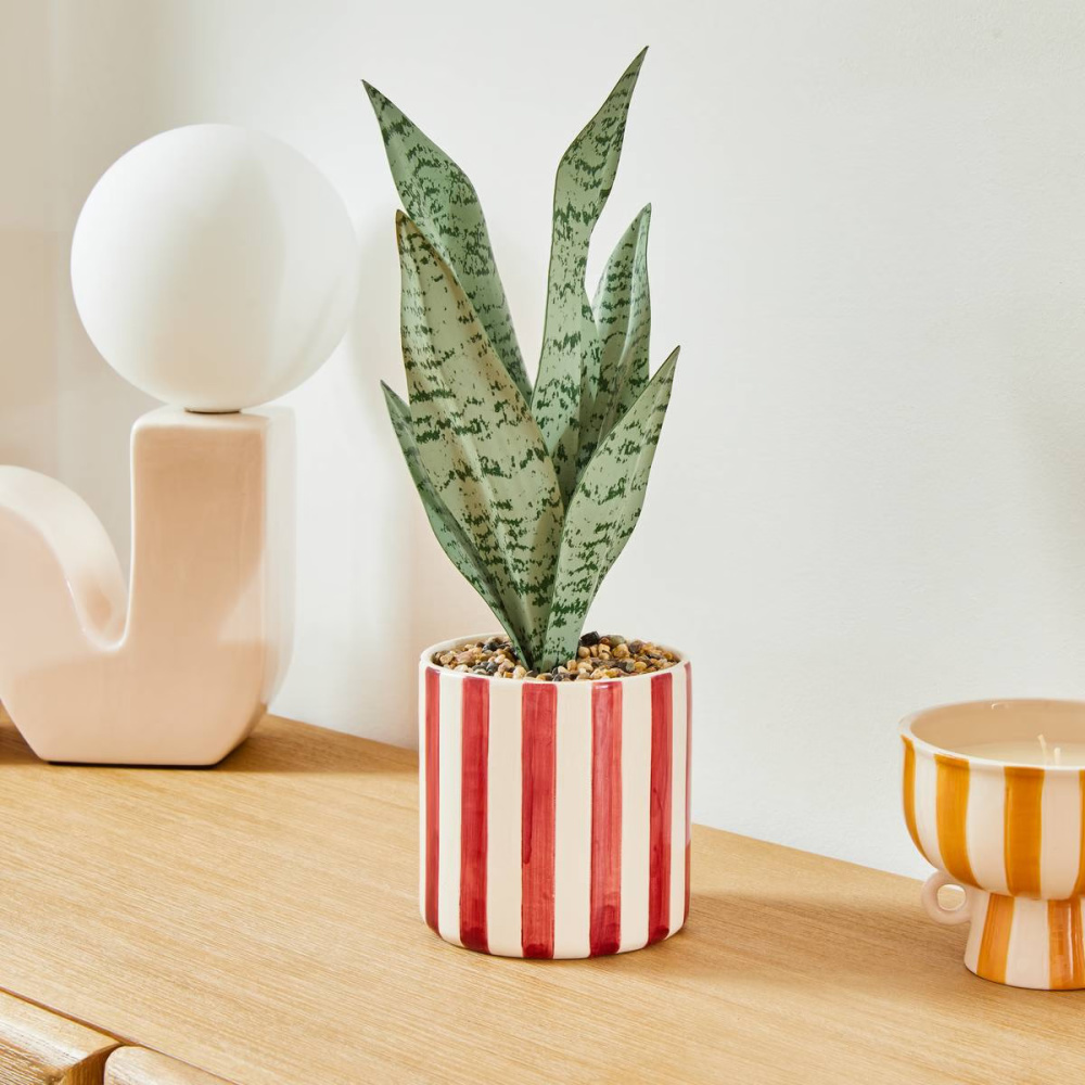 654645645_4_1975464560