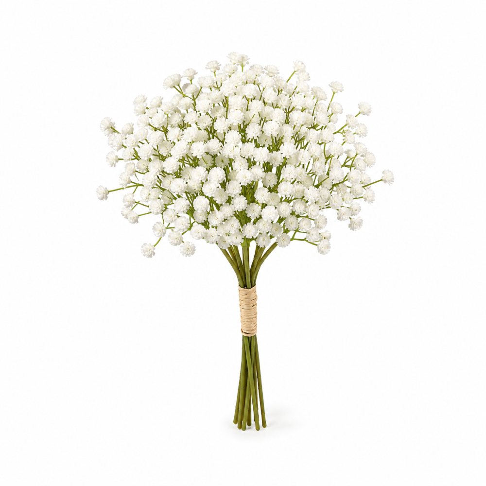 8755_www_homely_ba