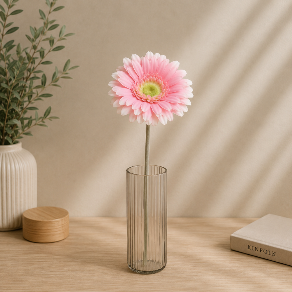 8808_www_homely_ba