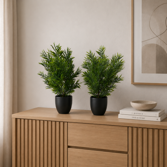 8790_www_homely_ba
