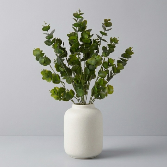 gemini_generated_image_5i637o5i637o5i63_cleanup_1